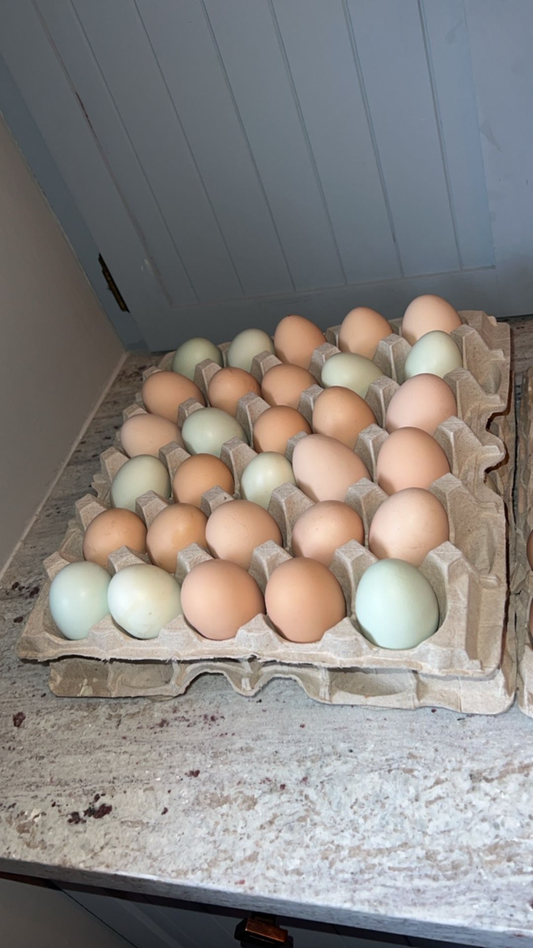 Fresh Eggs - Dozen Or More!