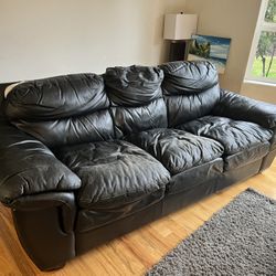 Free Comfy Couch