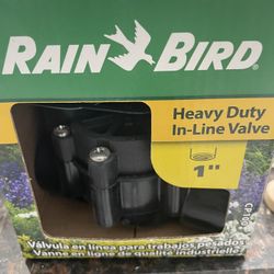 Rain Bird 1” CP 100 