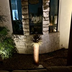 Desert Steel Joshua Tree