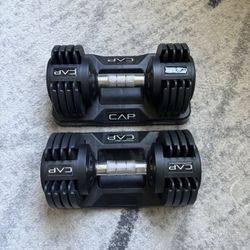 adjustable dumbbell weights 2x 5-25lbs