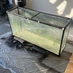 55 Gallon Fish Tank