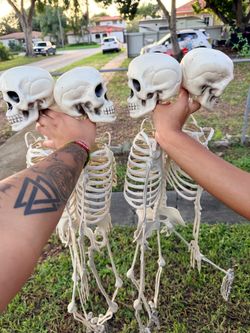 4 Skeletons