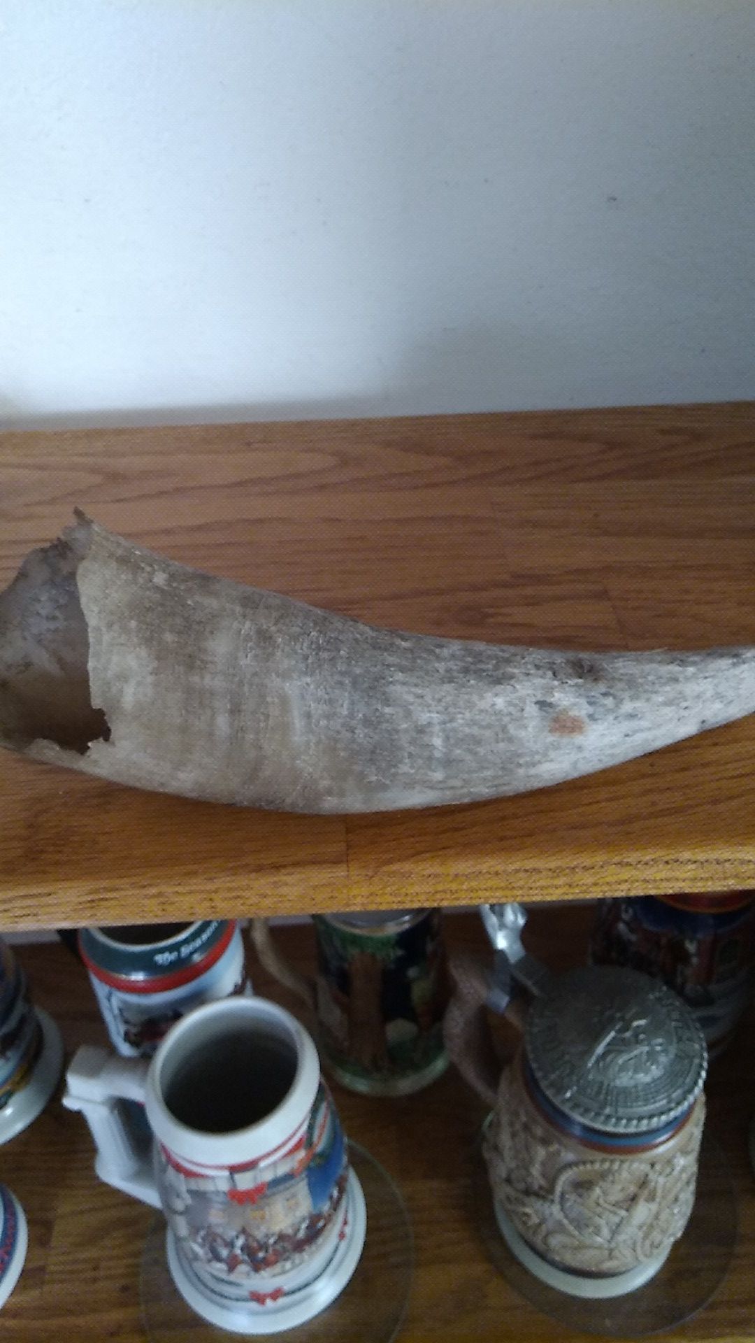 Bull horn