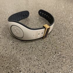 Walt Disney World 50th Anniversary Magic Kingdom Castle Magic Band Bitbelt 