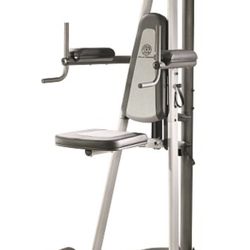 Golds Gym Platinum Pull-up And Dip Tower