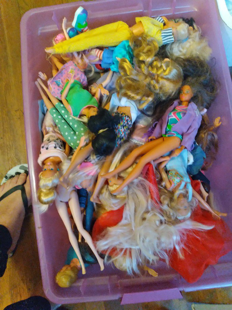 Box Full Of Barbies Some Are Vintage