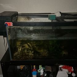 65gal Fully Setup 