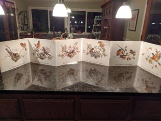 Beautiful Sequence Posters: Robins