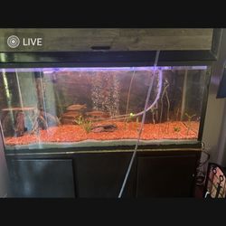 230 Gallon Fish Tank With Stand And Canopy