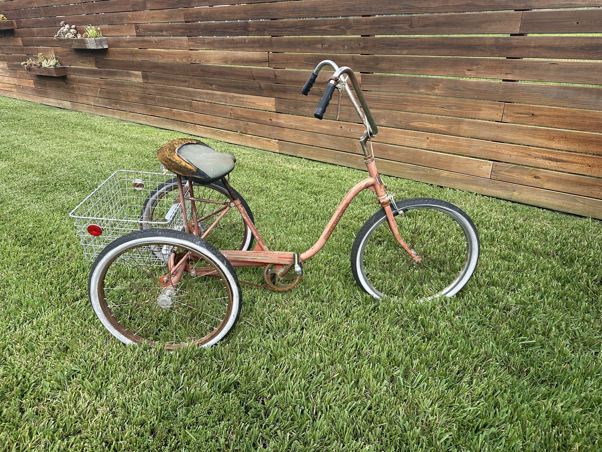 Vintage Tricycle