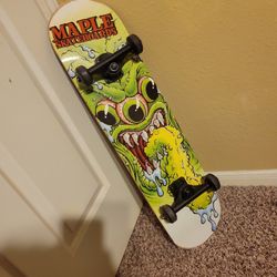 Slightly Used Skateboard