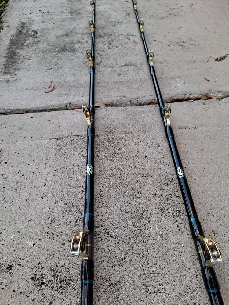 Penn International Fishing Reel/New Braid /30lbs Igfa Rods for