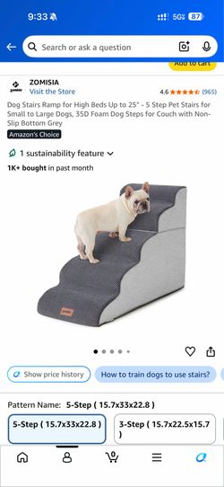 Dog ramp