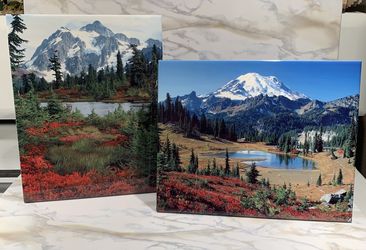 Two Photo Printed Pictures On Ceramic Displays. 