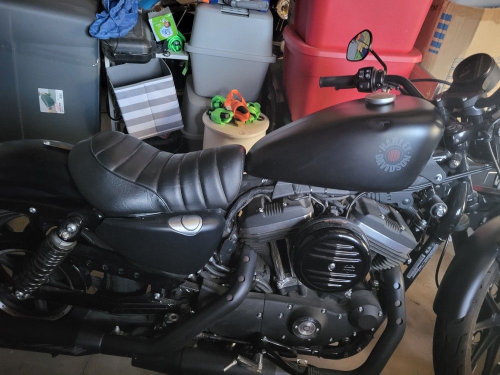 2020 Harley Sportser