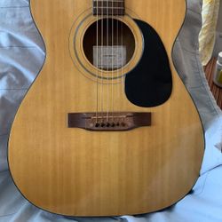CONTINENTAL DRIFTER   ACOUSTIC GUITAR 