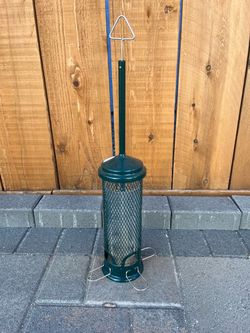 Squirrel buster mini bird feeder