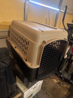 Lard dog kennel