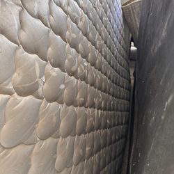 Free - Full size bed