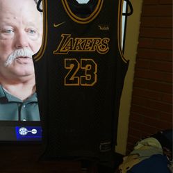 Lebron James (Kobe Mamba) Jersey