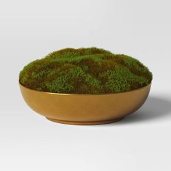 Moss in Gold Bowl - Threshold™: Faux Floral Decor, Ceramic Pot, Indoor Tabletop Display