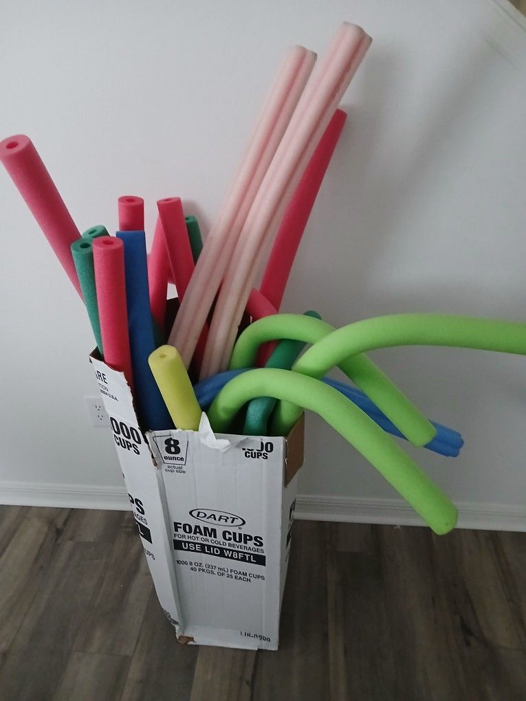 18 Pool Noodles