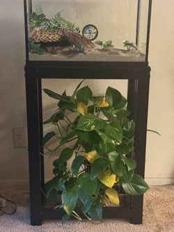 10 gallon fish take with stand