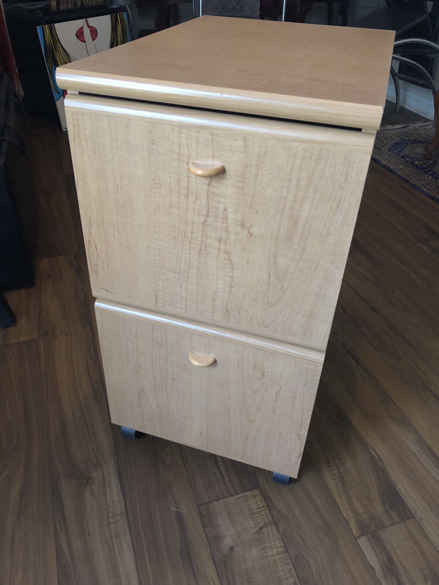 Good size File Cabinet with Wheels - 22.5” w x 15.5” d x 29” tall - Very good condition.