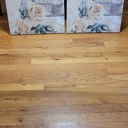 Wall Decor Birds Picture