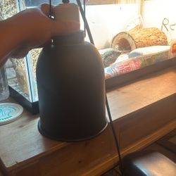 Reptile Basking Lamp