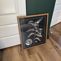 Wall Art Botanical Fruit