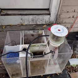 Saltwater Sump 
