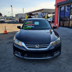 Honda Accord Rines New 
