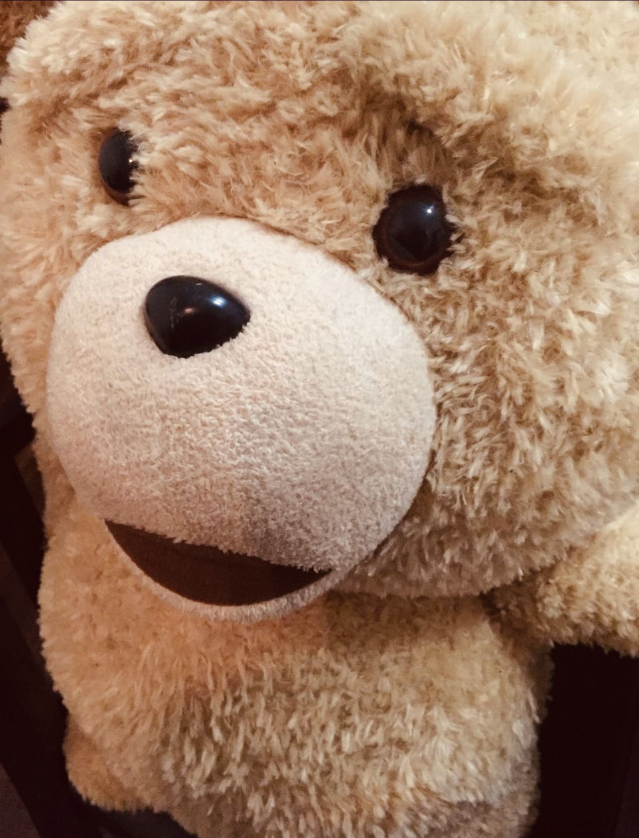 Original First Ted Bear Large Size With Talking Chip Just Like In Movie