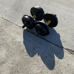 Pair Curl Bars