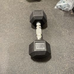 15lb Dumbbell