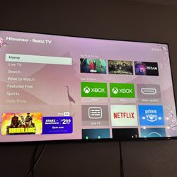 Hisense Ruku 50 Inch Tv 