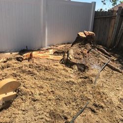 Stump Grinding 
