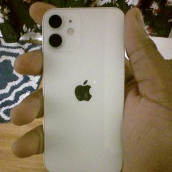 IPhone 12 Mini