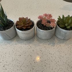 3 Piece Succulent Set (Faux) 