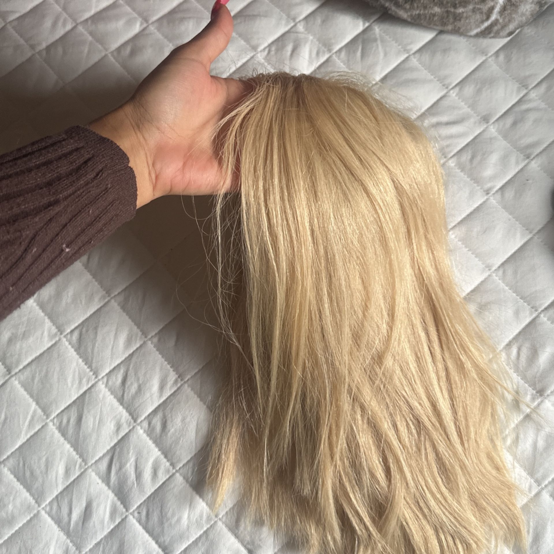 Human Hair Bob Wig