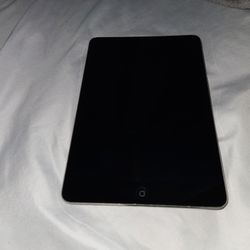 Ipad Mini 2