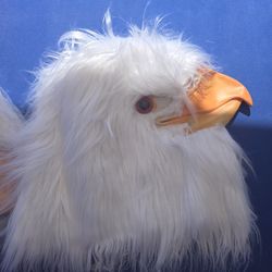 Eagle Mask (A Must have For The EAGLES!!