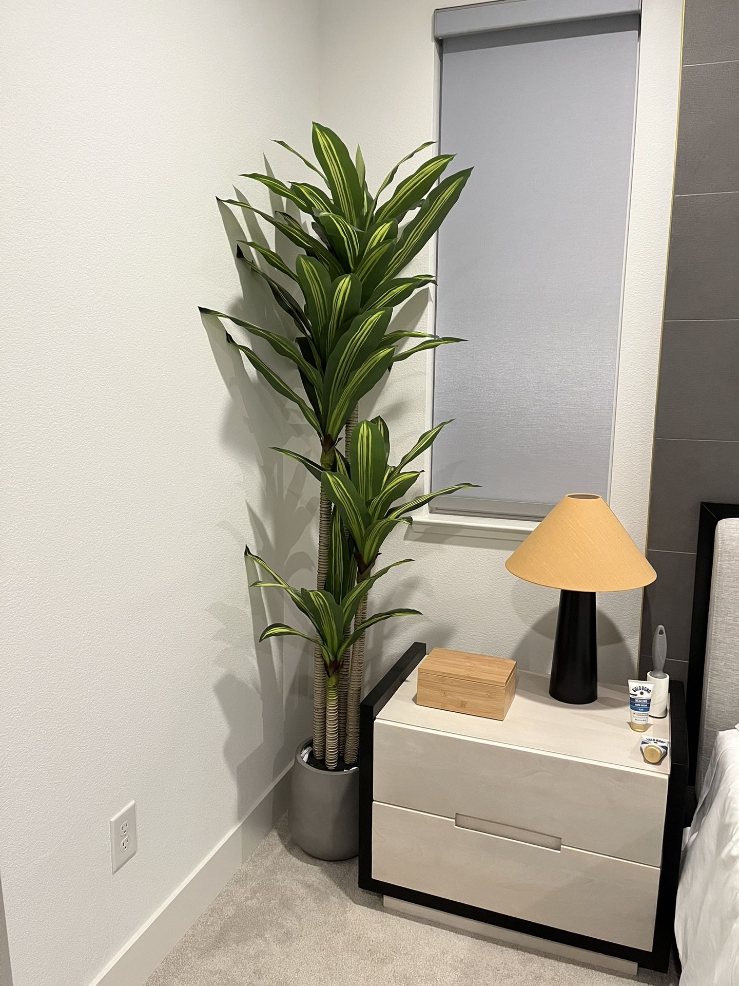 Faux Dracaena Tree 6’ Tall