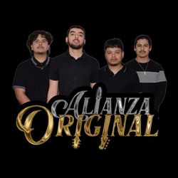 grupo de guitarras con bajo/tololoche 