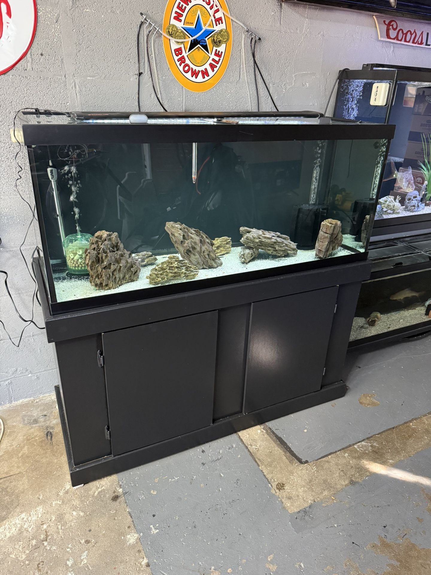 75 Gallon Aquarium