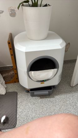 Free automated cat litter box