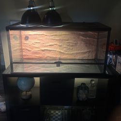 40 Gallon Terrarium