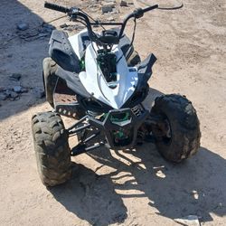 Taotao Atv